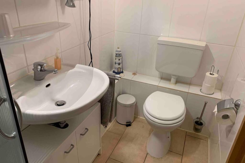Ferienwohnung Schmidt Rosengarten  Extérieur photo