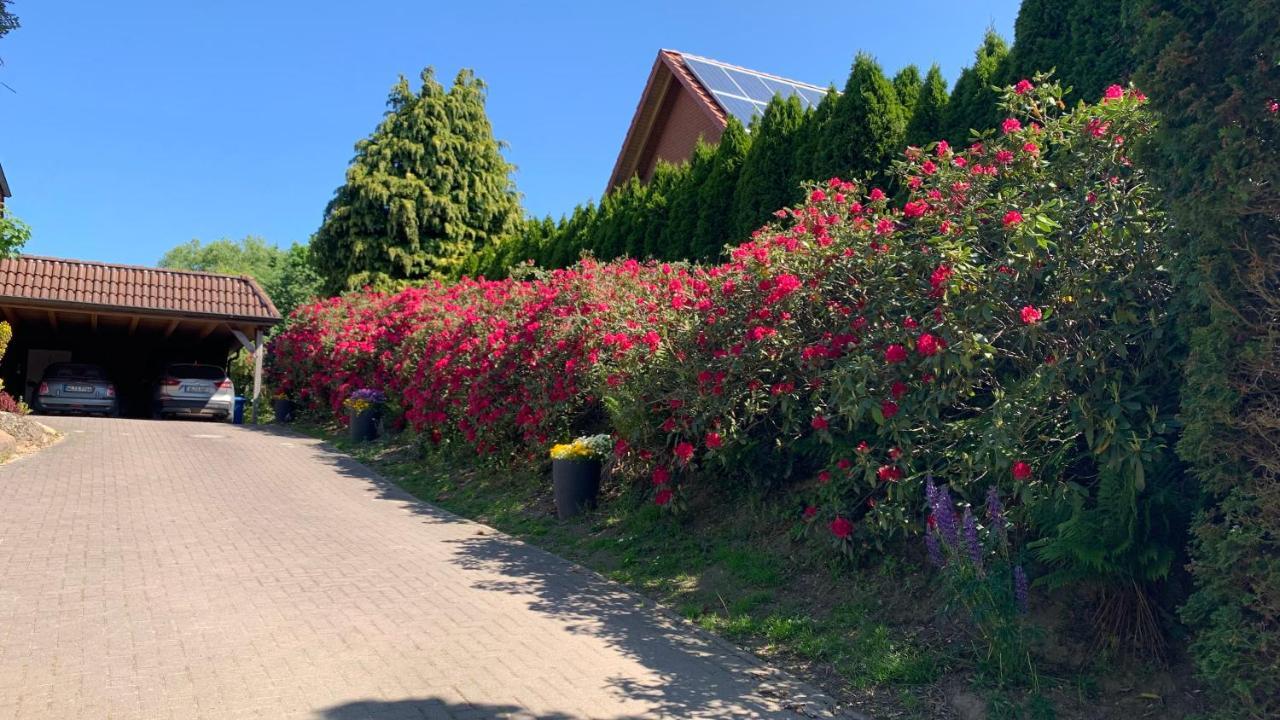 Ferienwohnung Schmidt Rosengarten  Extérieur photo
